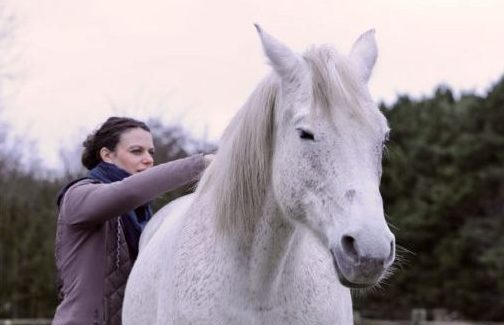 massage équin amelie du bout des doigts